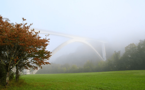 A foggy landscape featuring a bridge arching over a green field, with a tree in the foreground.