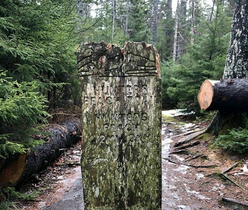 A weathered wooden post in a forest, marked with "Hunters Beach Trail" and surrounded by trees and fallen logs.