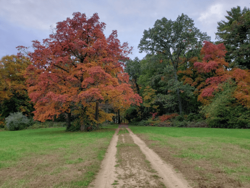 A dirt path leads through a vibrant autumn landscape with colorful trees in shades of red and orange.