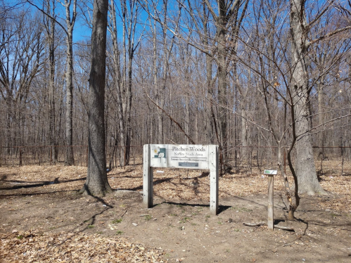 Sign for Pritchett Woods Nature Trail Area surrounded by bare trees and fallen leaves on a clear day.