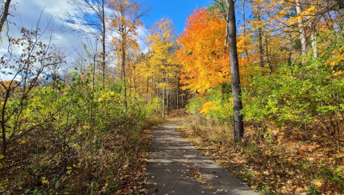 A scenic path through a forest with vibrant autumn foliage in shades of orange, yellow, and green under a blue sky.