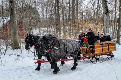 A horse-drawn sleigh carries passengers through a snowy forest, with trees and a red barn in the background.