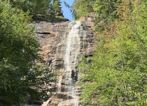 A cascading waterfall flows down a rocky cliff, surrounded by lush green trees and foliage.