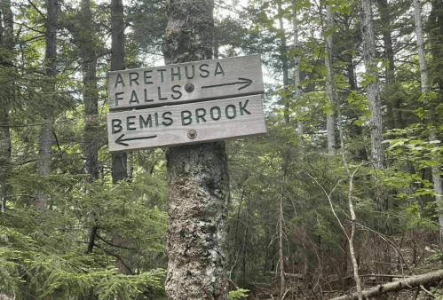 Wooden signpost in a forest pointing to Arethusa Falls and Bemis Brook, surrounded by trees.