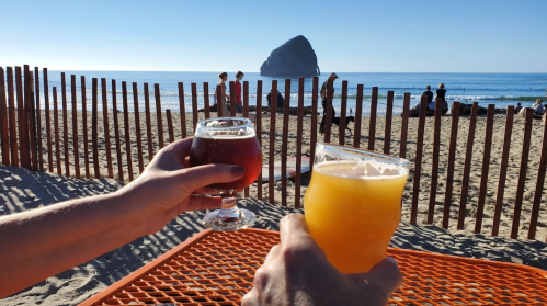 Two hands hold glasses of beer against a beach backdrop with a rock formation and a wooden fence.