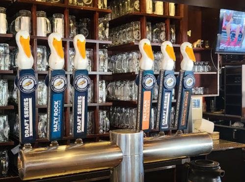 A row of beer taps with colorful handles featuring a pelican design, set against a backdrop of glass mugs.