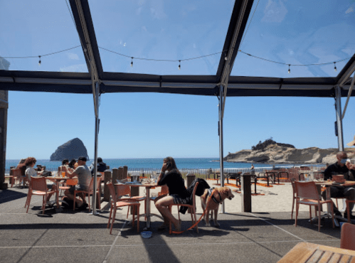 Outdoor dining area with people and a dog, overlooking a beach and rocky coastline under a clear blue sky.