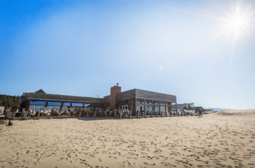 A beachside restaurant with large windows, surrounded by sand and a clear blue sky, under bright sunlight.