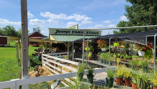 A sunny farm stand with colorful flowers, greenery, and a sign reading "Jenny's Farm Stand" against a blue sky.