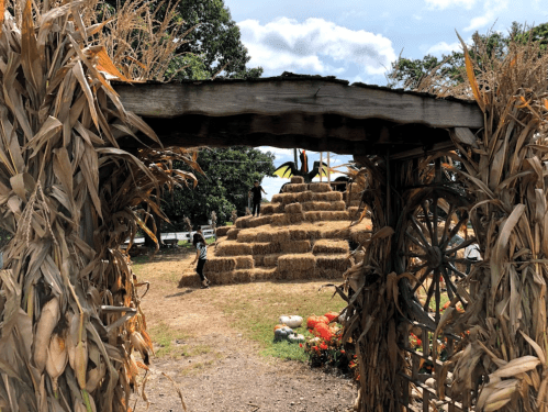 A rustic entrance framed by dried corn leads to a pyramid of hay bales and colorful flowers in a sunny outdoor setting.