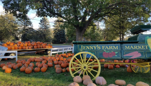 A colorful farm scene with a wagon labeled "Jenny's Farm Market" surrounded by pumpkins and trees.