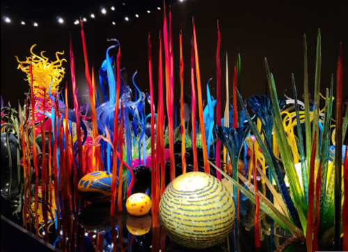 Colorful glass sculptures resembling plants and flowers, displayed against a dark background, creating a vibrant, artistic scene.