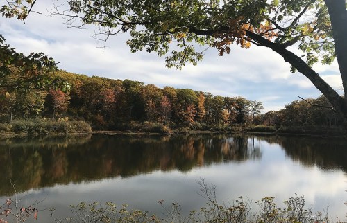 A serene lake surrounded by autumn foliage, reflecting trees and a cloudy sky.
