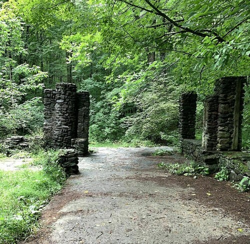 Ruins of stone pillars surrounded by lush green trees and foliage in a forested area.