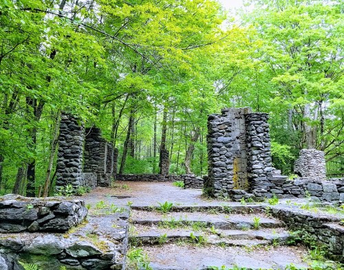 Ruins of stone structures surrounded by lush green trees and foliage in a serene forest setting.