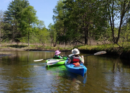Two people kayaking on a calm river surrounded by trees on a sunny day.