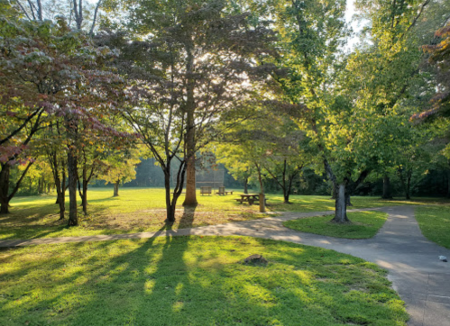 A sunlit park scene with trees, grassy areas, and a picnic table in the distance, casting long shadows on the path.