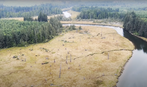 Aerial view of a dry riverbank with cracked earth, surrounded by dense forests and a winding river.