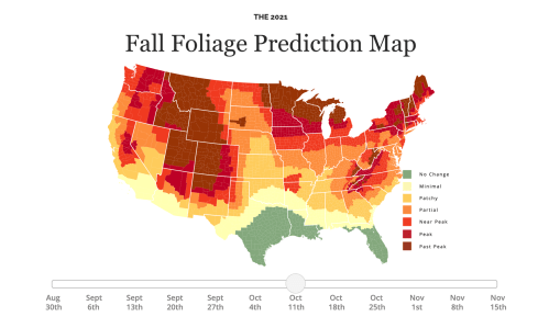 Map showing fall foliage predictions across the U.S. for 2021, with color-coded peak times from August to November.
