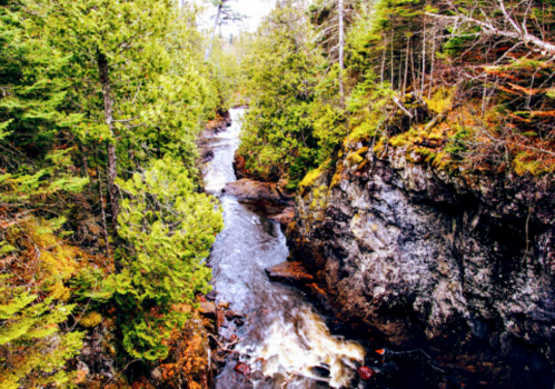 A serene river flows through a lush green forest, surrounded by rocky cliffs and vibrant foliage.