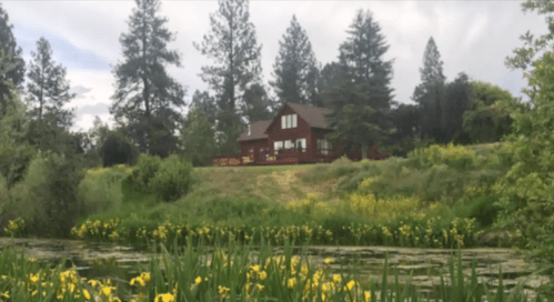 A red house surrounded by lush greenery and yellow flowers near a calm pond, with tall trees in the background.
