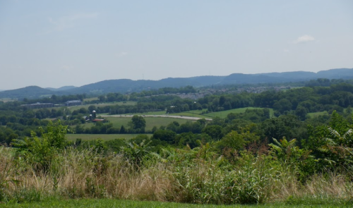 A panoramic view of rolling green hills and fields under a clear blue sky.
