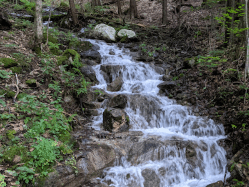 A serene stream cascades over rocks, surrounded by lush greenery and trees in a peaceful forest setting.