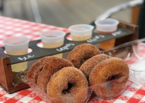 A tray of cinnamon sugar donuts in front of a flight of small drink samples on a checkered tablecloth.