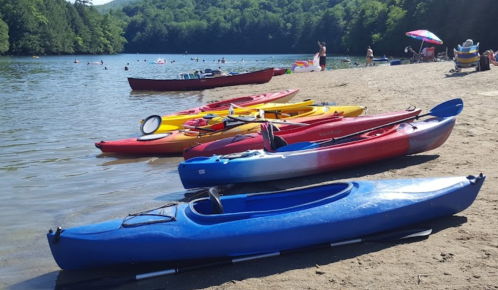 Colorful kayaks lined up on a sandy beach by a lake, with people swimming and relaxing in the background.