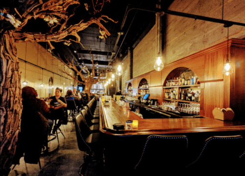 A cozy bar interior with a wooden bar, dim lighting, and a large tree sculpture, creating a warm atmosphere.