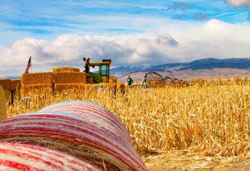 A vibrant farm scene with hay bales, a tractor, and workers against a backdrop of mountains and blue skies.