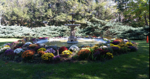 A beautiful garden featuring a central fountain surrounded by colorful flowers and lush greenery.