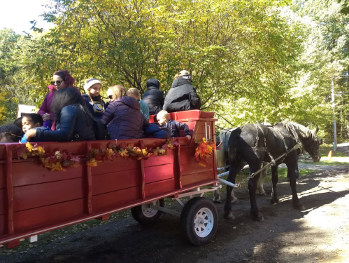A horse-drawn wagon filled with children and adults, surrounded by trees with autumn leaves.