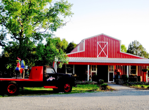 A red barn-style building with a porch, next to a vintage black truck parked under a tree. Colorful roosters are displayed.