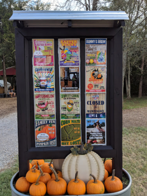 A wooden sign displays colorful event posters, surrounded by pumpkins on the ground.