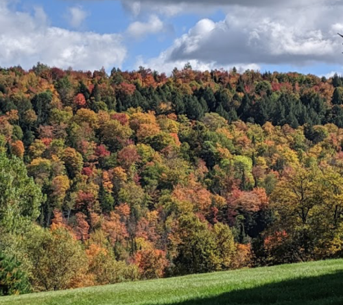 A vibrant autumn landscape with colorful trees in shades of red, orange, and yellow against a cloudy sky.