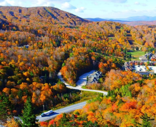 A scenic view of vibrant autumn foliage covering rolling hills and a winding road in a mountainous landscape.