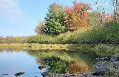A serene pond surrounded by trees with autumn foliage, reflecting the colorful landscape in calm water.