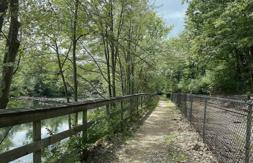 A serene path lined with trees beside a river, featuring a wooden fence and a chain-link fence on one side.