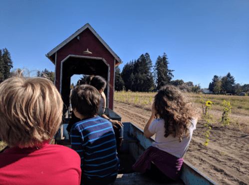 Children sitting on a wagon, looking at a field with sunflowers under a clear blue sky.