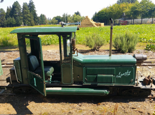 A vintage green locomotive sits on a track, surrounded by greenery and wooden stacks in the background.