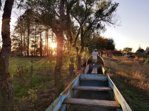 A person sits in a boat among trees at sunset, with a serene landscape in the background.