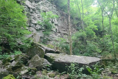 A rocky cliff surrounded by lush green trees and vegetation in a forested area.