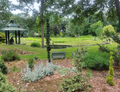 A serene garden scene featuring a pond, lush greenery, benches, and a gazebo surrounded by trees.