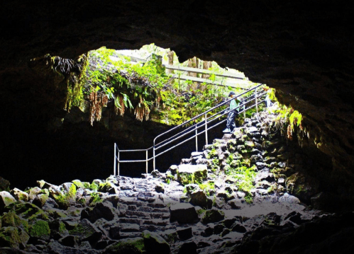 A cave entrance with lush greenery and stone steps leading outside, illuminated by natural light.