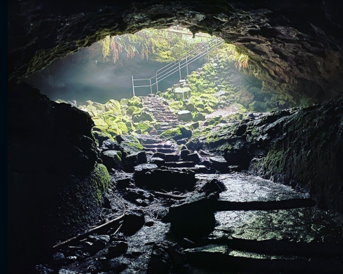 A view from inside a cave, showing a mossy path and stairs leading out into a bright, misty landscape.