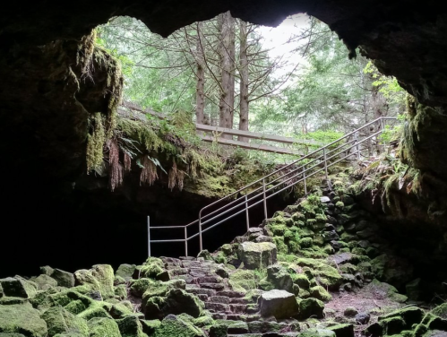 A moss-covered cave entrance with a staircase and railing leading up to a forested area outside.