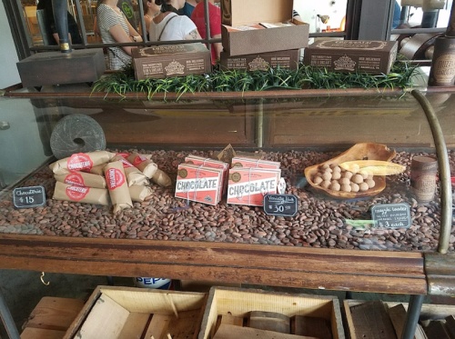 Display case filled with cocoa beans, chocolate boxes, and snacks, with decorative greenery and price tags.