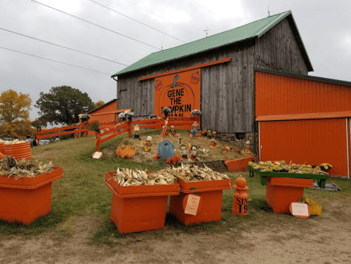 A rustic barn with orange accents, decorated with pumpkins and fall decor, set against a cloudy sky.