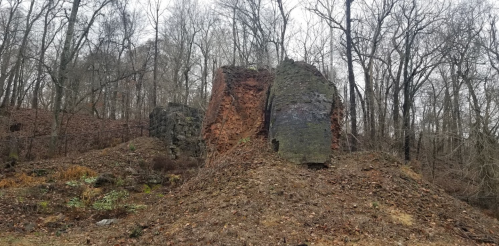 Ruins of a stone structure surrounded by bare trees and fallen leaves in a wooded area.
